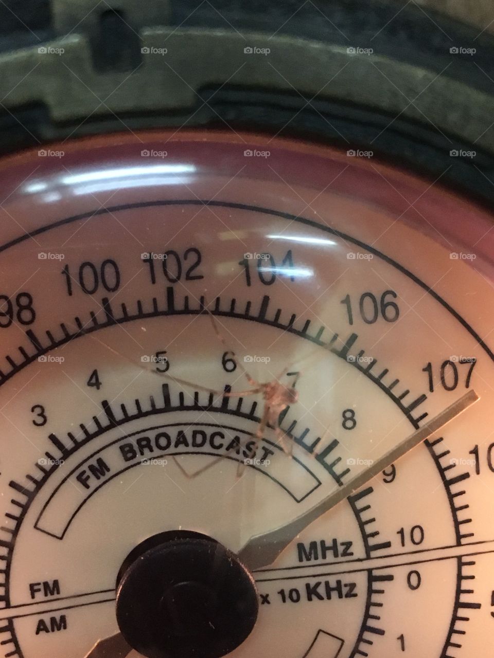 🕷 Spider on the radio dial 