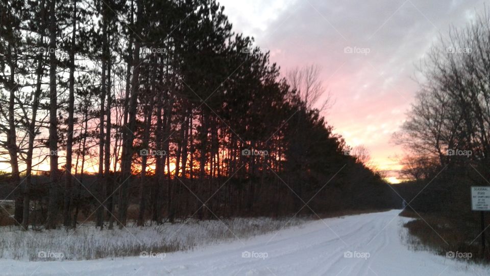 Northern Michigan 