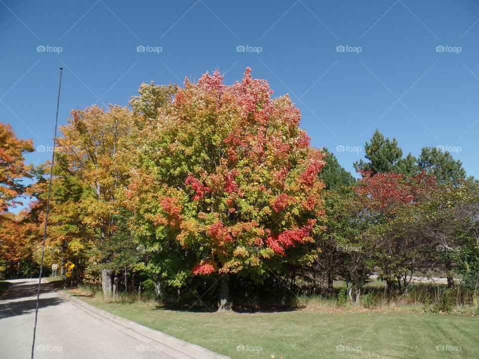 Drummond Island, Michigan 