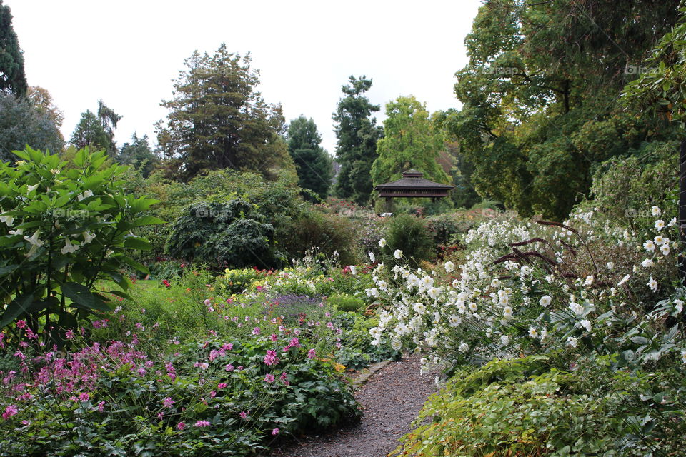 point defiance gardens 3