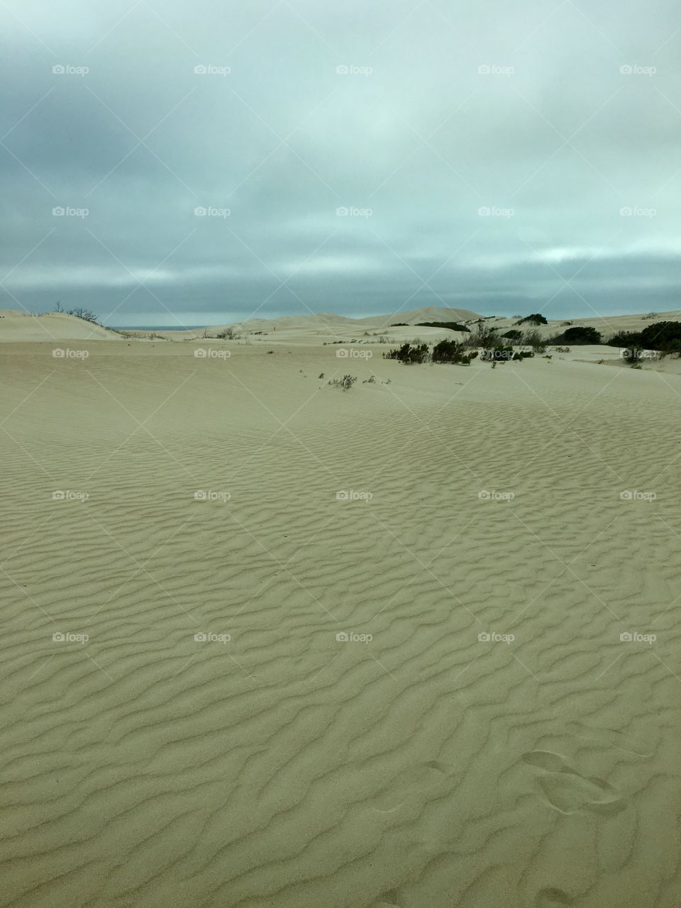 Sand dunes beach south Australia 