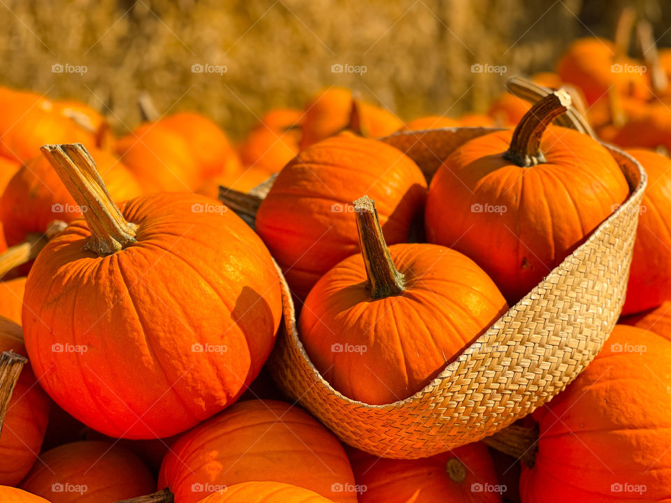 Pumpkins