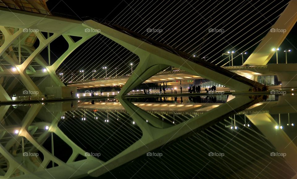 Ciudad de las Artes y las Ciencias 
City of Arts and Sciences