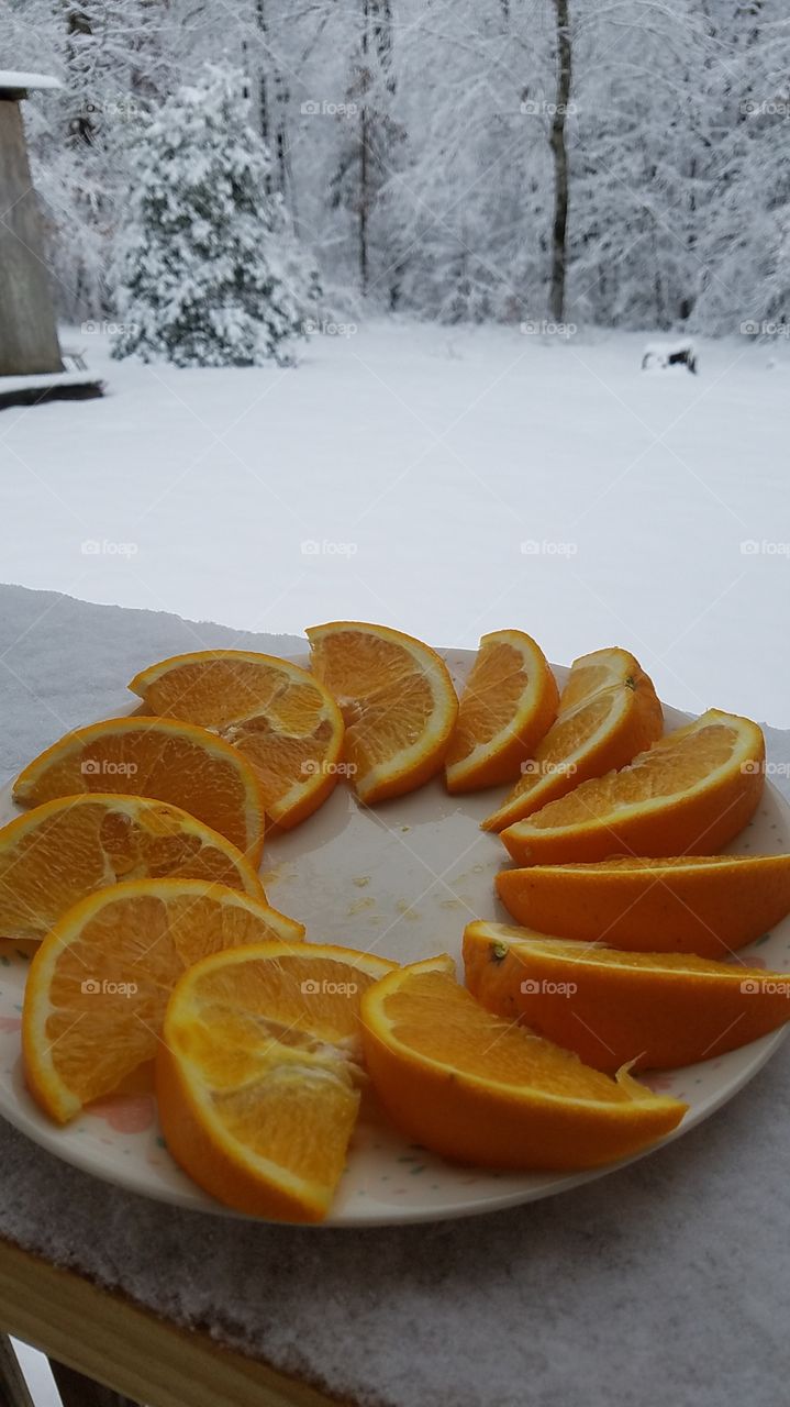 Sue oranges (from my friend Susan's back yard in Arizona) on a snow day in South Carolina