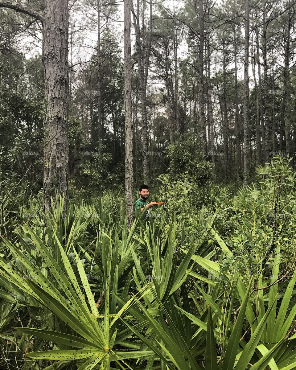 Man standing around the tree with holding disc