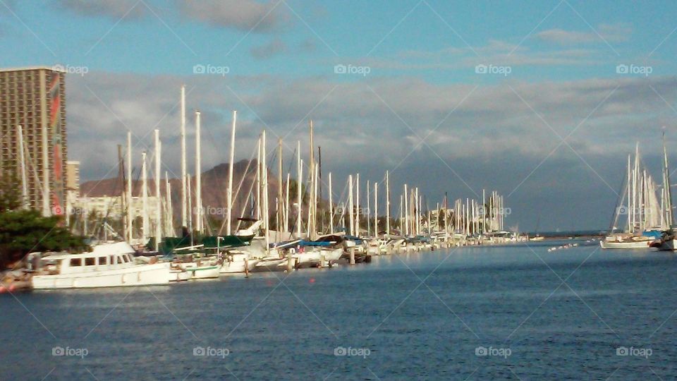 harbor boats . sailboats lined up in th AlaWai harbor (hawaii)