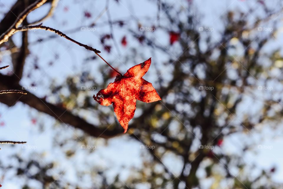 Fall adventures will always be a favorite 🍂