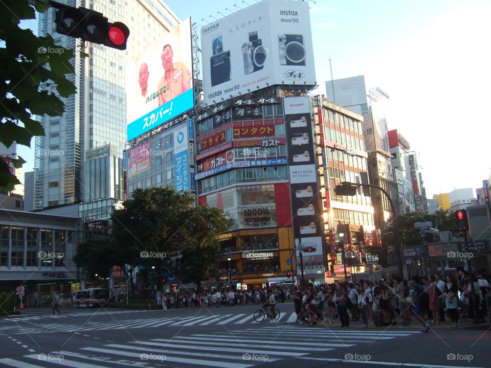 Shibuya ,Tokyo