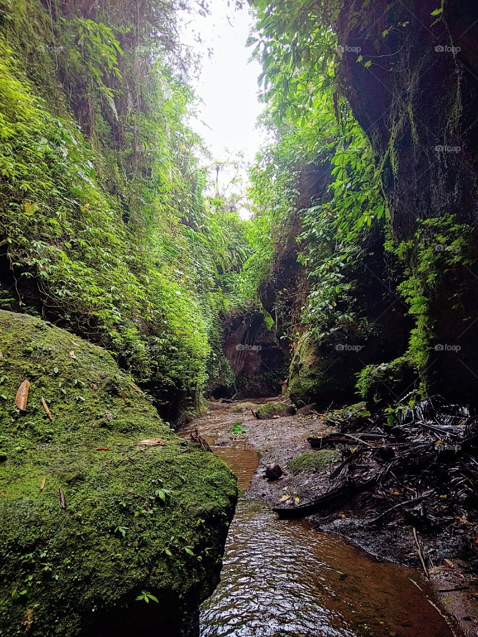 secret creeks to find