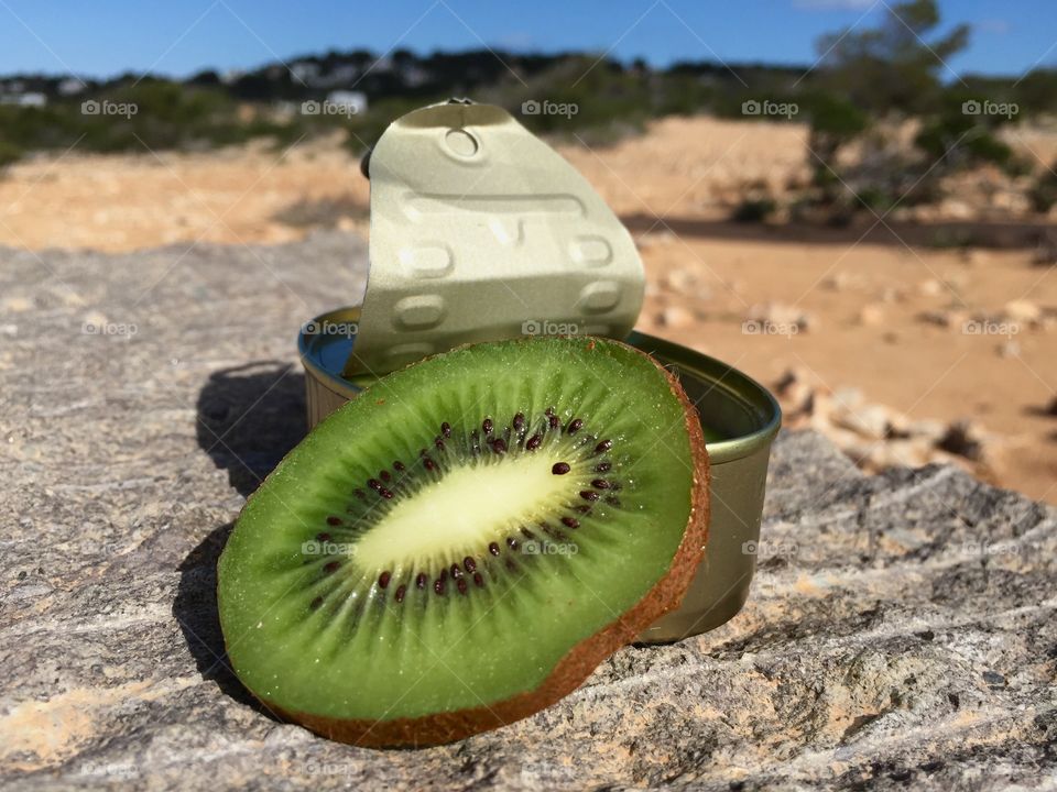 Slice of kiwi 