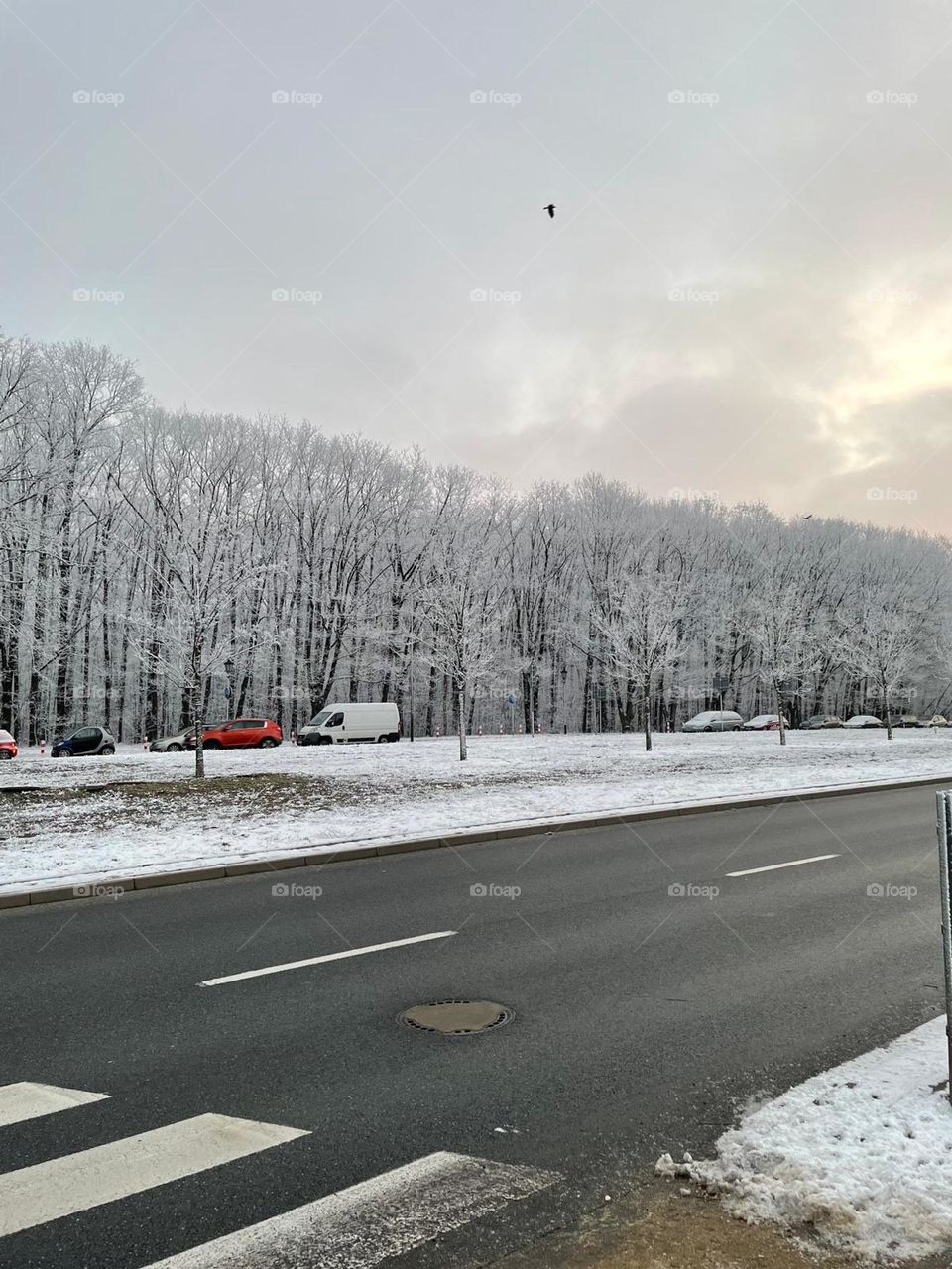 the winter in Poland