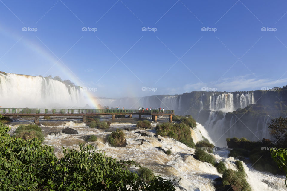 Nature of Brazil - Iguassu Falls National Park.