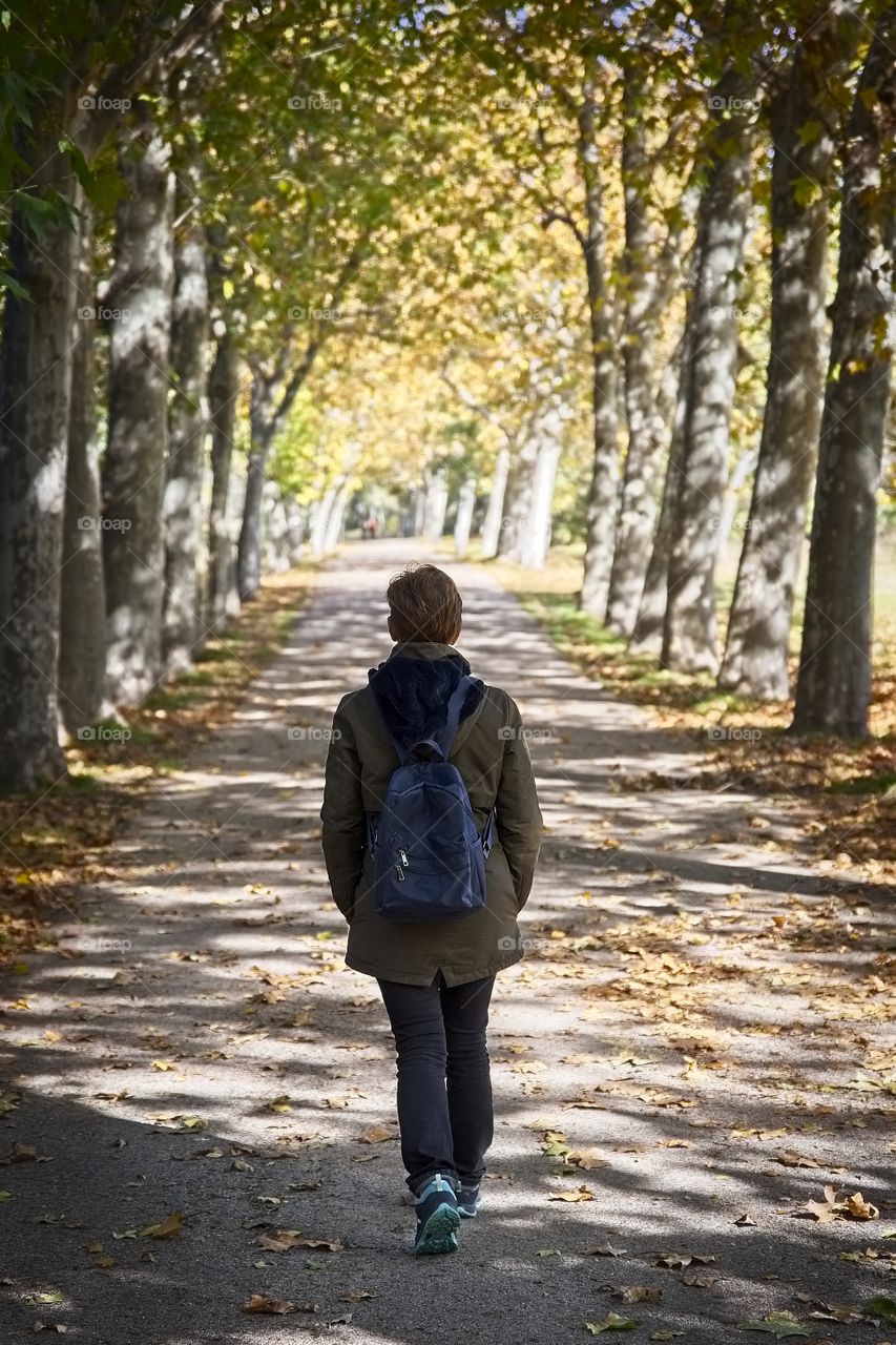 A woman walks along a path between trees in Autumn