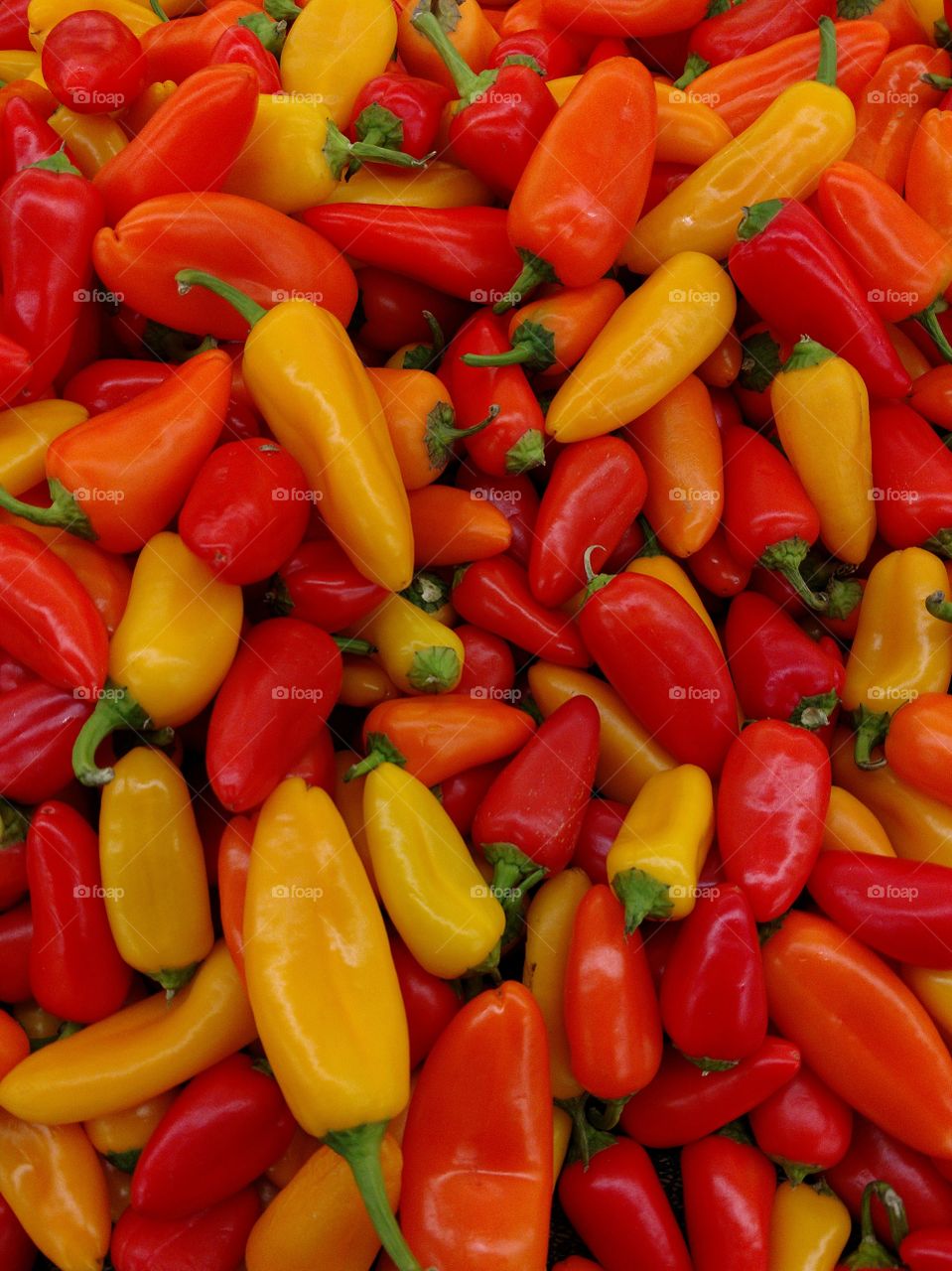 peppers of color