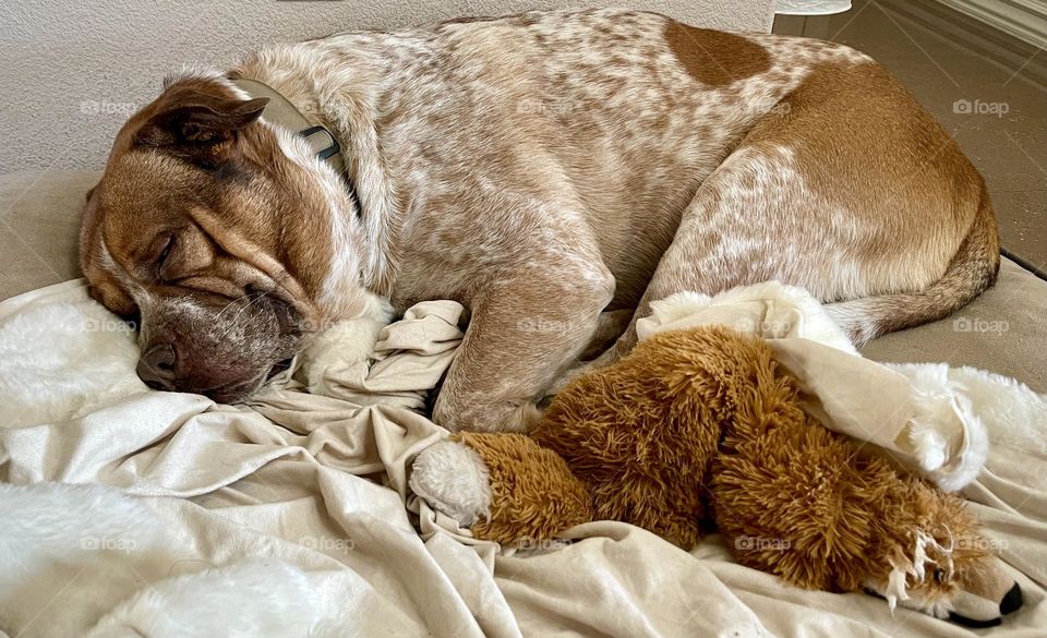 Smiling Face While Sleeping 