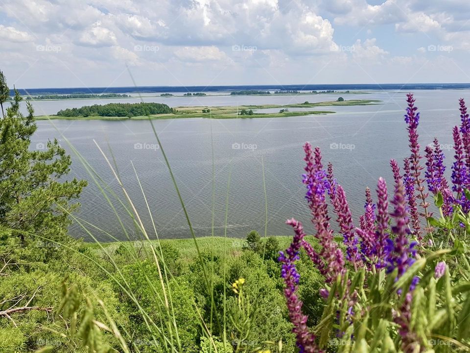Эта фотография передает ощущение теплого летнего дня и призывает насладиться моментом прекрасной природы 