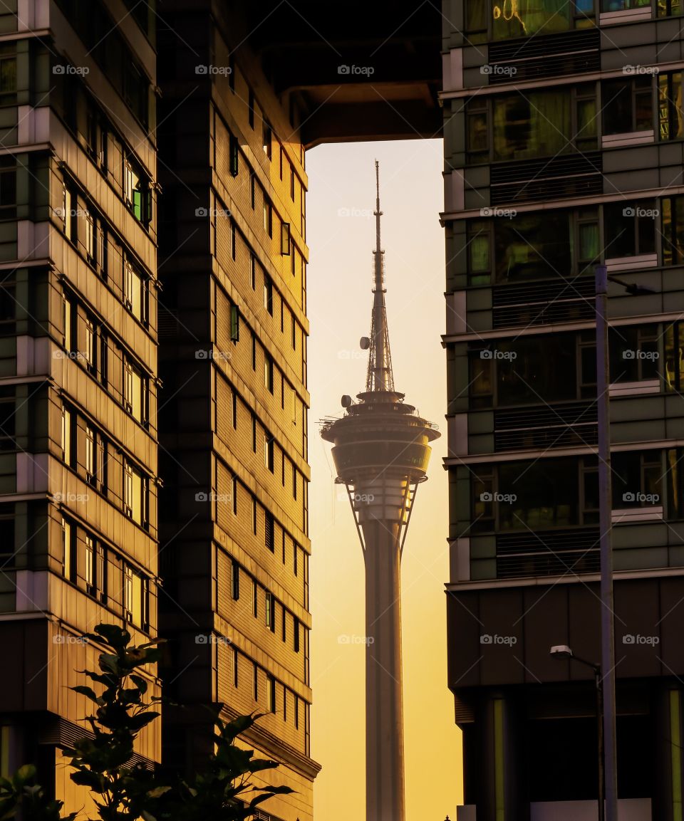 “Sandwich”... the Tower during Golden Hour..