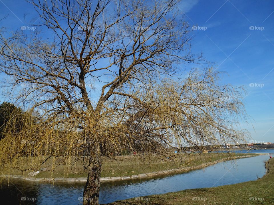 nature landscape river shore