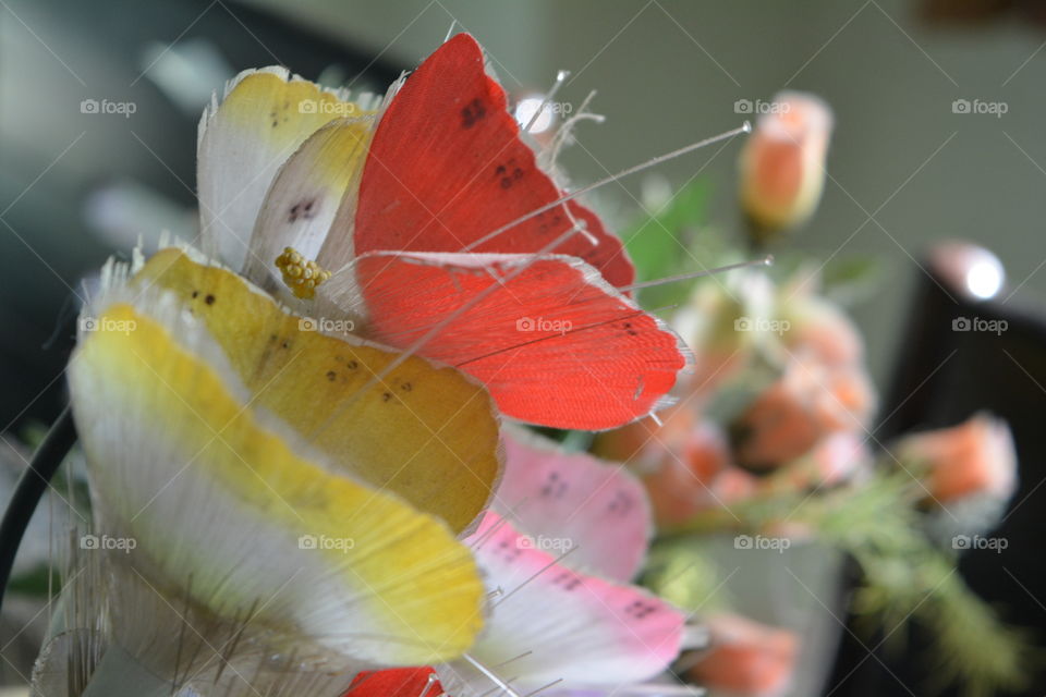 red butterfly surrendered by yellow butterfly