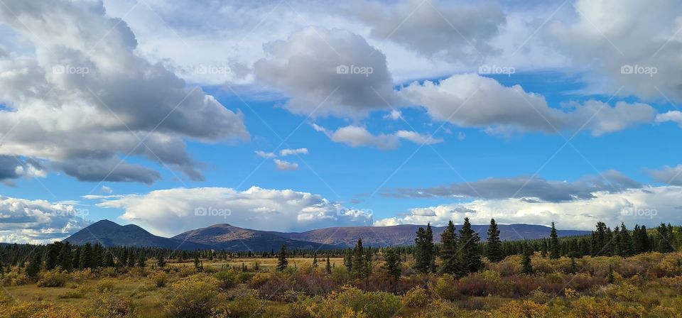 Grasslands in the Yukon Canada with cloudy skies overhead