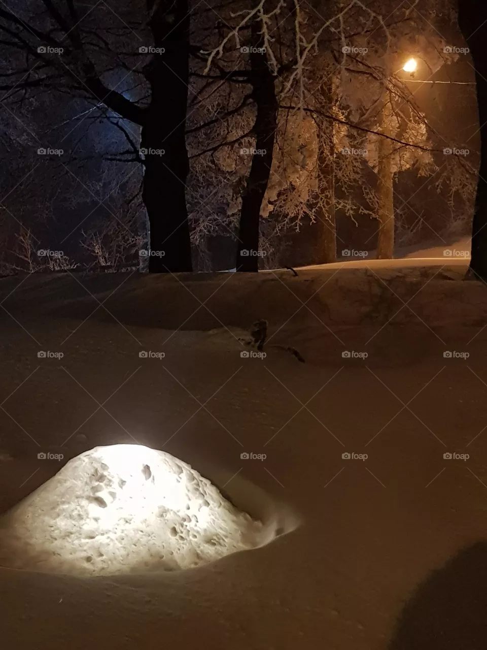 snow