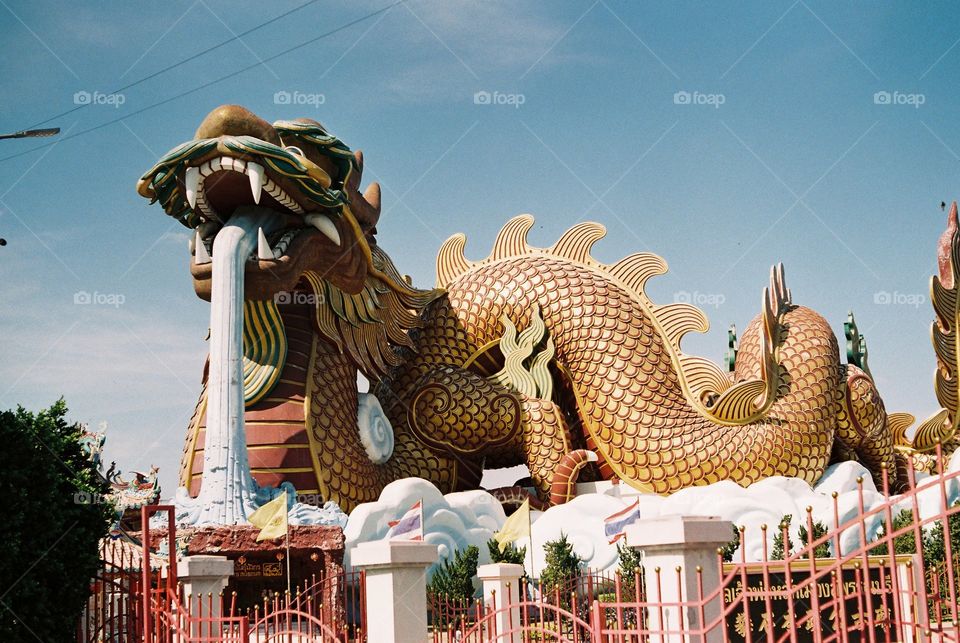 Dragon Museum 🐲🐉 