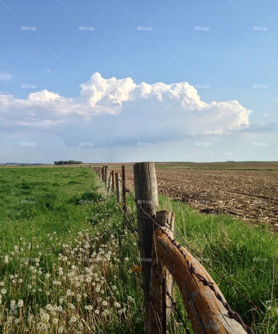 Close-up of fenceline