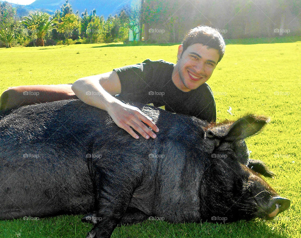Pig Love