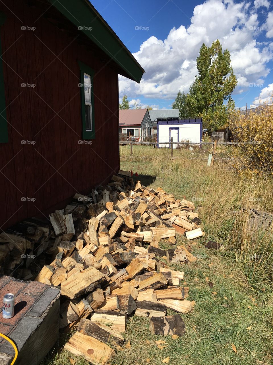 Fallen wood stack