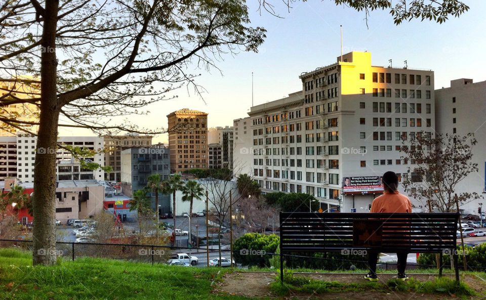 summer los angeles bench by boseiaiphotography