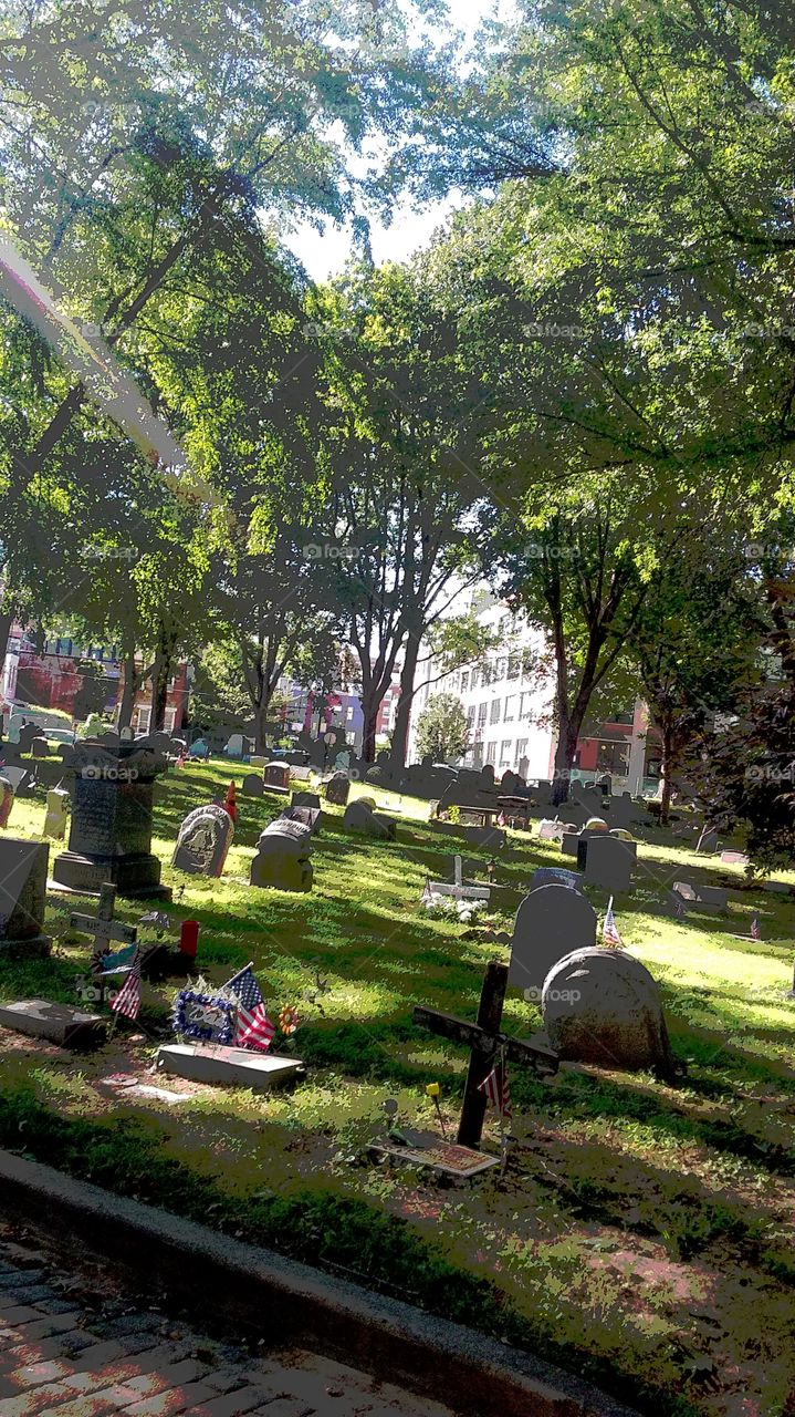 Palmer Grave Yard