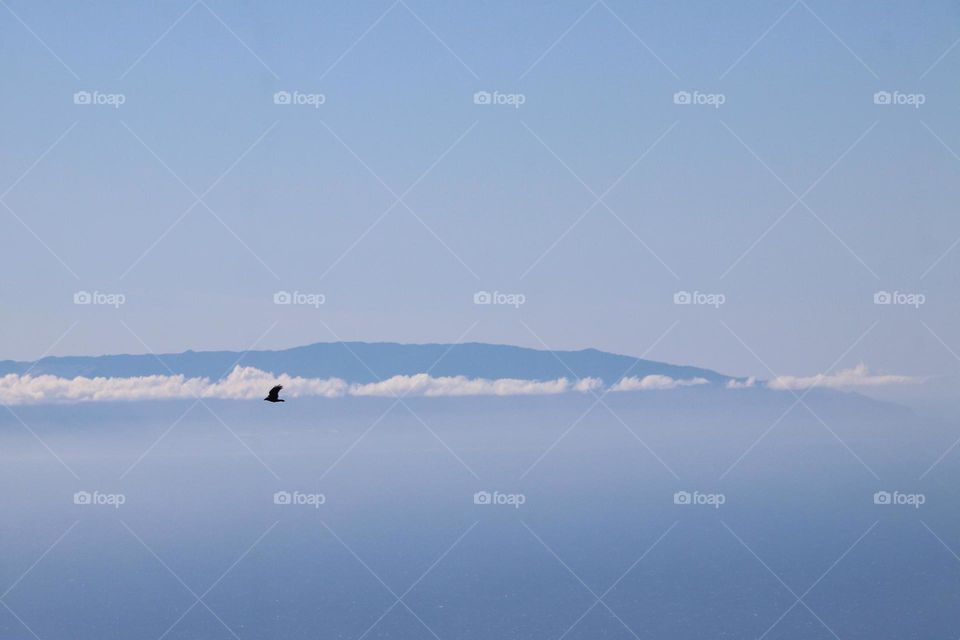 View of the cloudy island of El Hierro in the blue atlantic ocean and a flying bird in the foreground 
