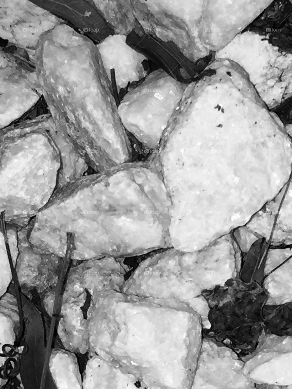 Rock and leaf texture.