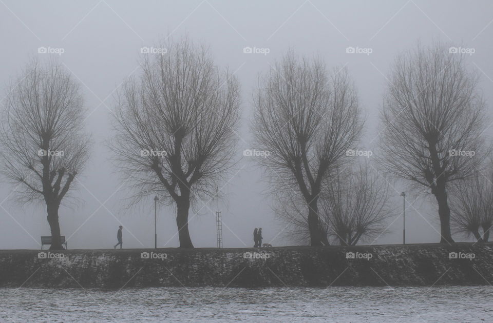 Foggy winter, Malmö, Sweden.