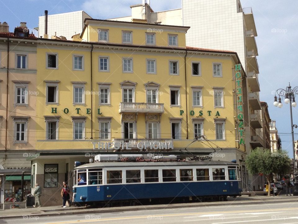 The Old Trieste