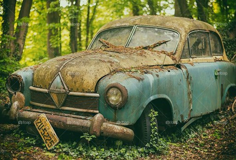 An abandoned vintage car in jungle
