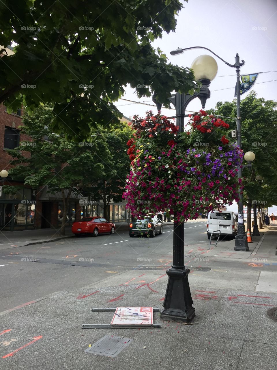 Potted flowers hanging on a lamppost in Seattle