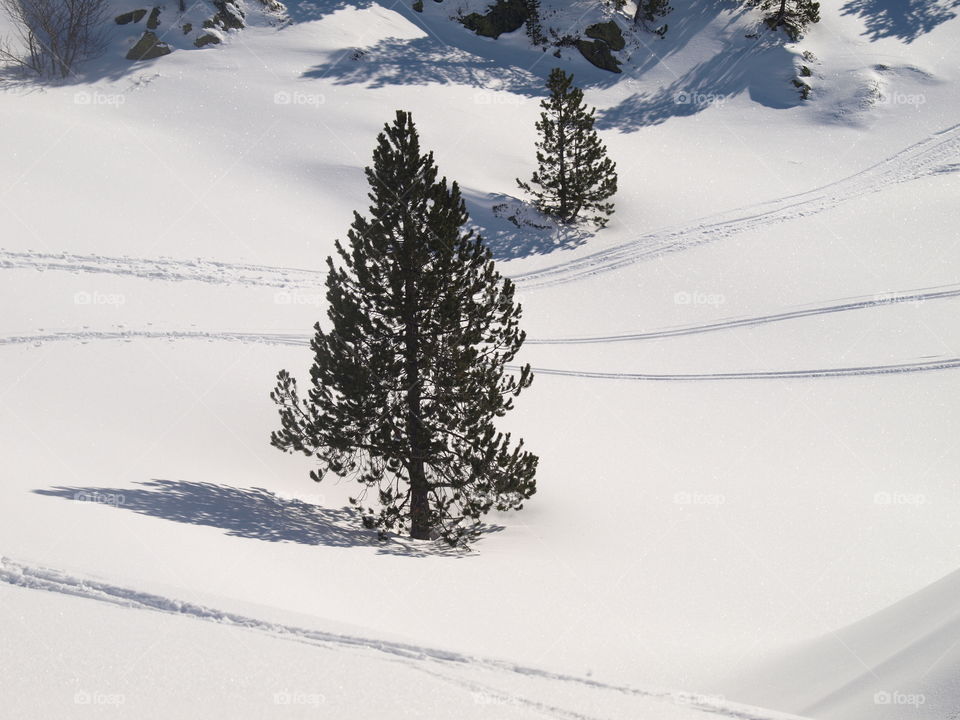 Sunny day at the snowy mountains 