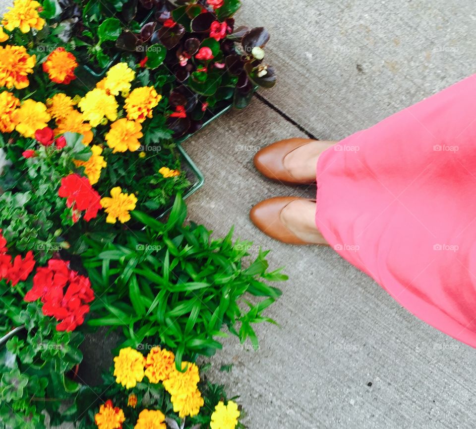 Summer plants . Foot view