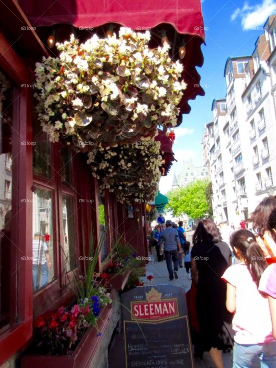 beautiful flowers hanging in the street 