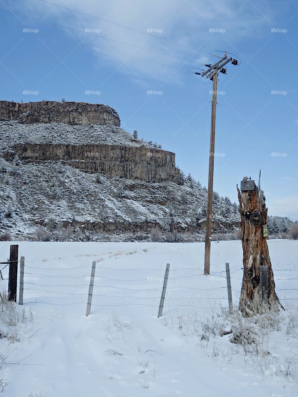 A No Trespassing Sign attached to an old juniper tree in a field covered in fresh snow with rugged hills in the background on a sunny winter day with blue skies in rural Central Oregon. 