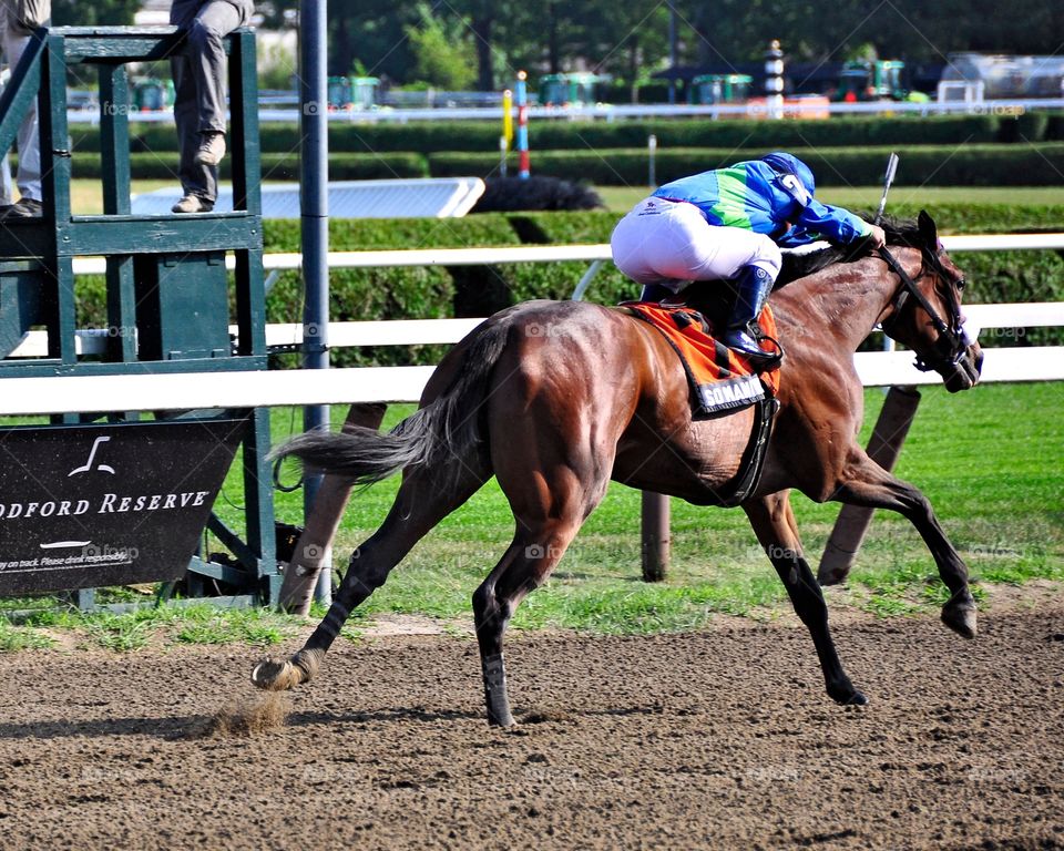 So Many Ways. So Many Ways winning as a two year old filly with Javier Castellano at Saratoga. 
Fleetphoto