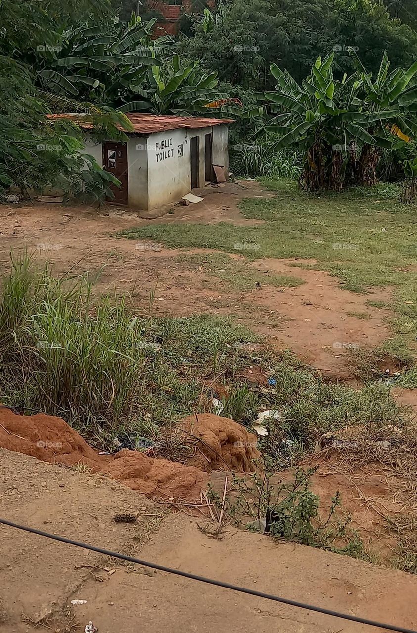 What's that building doing on the middle of the forest. Hang on, let me take a closer look, my goodness! it's a public toilet.
