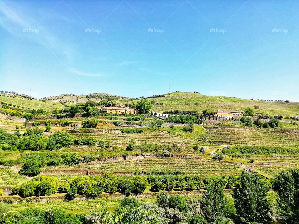 Douro valley, Portugal