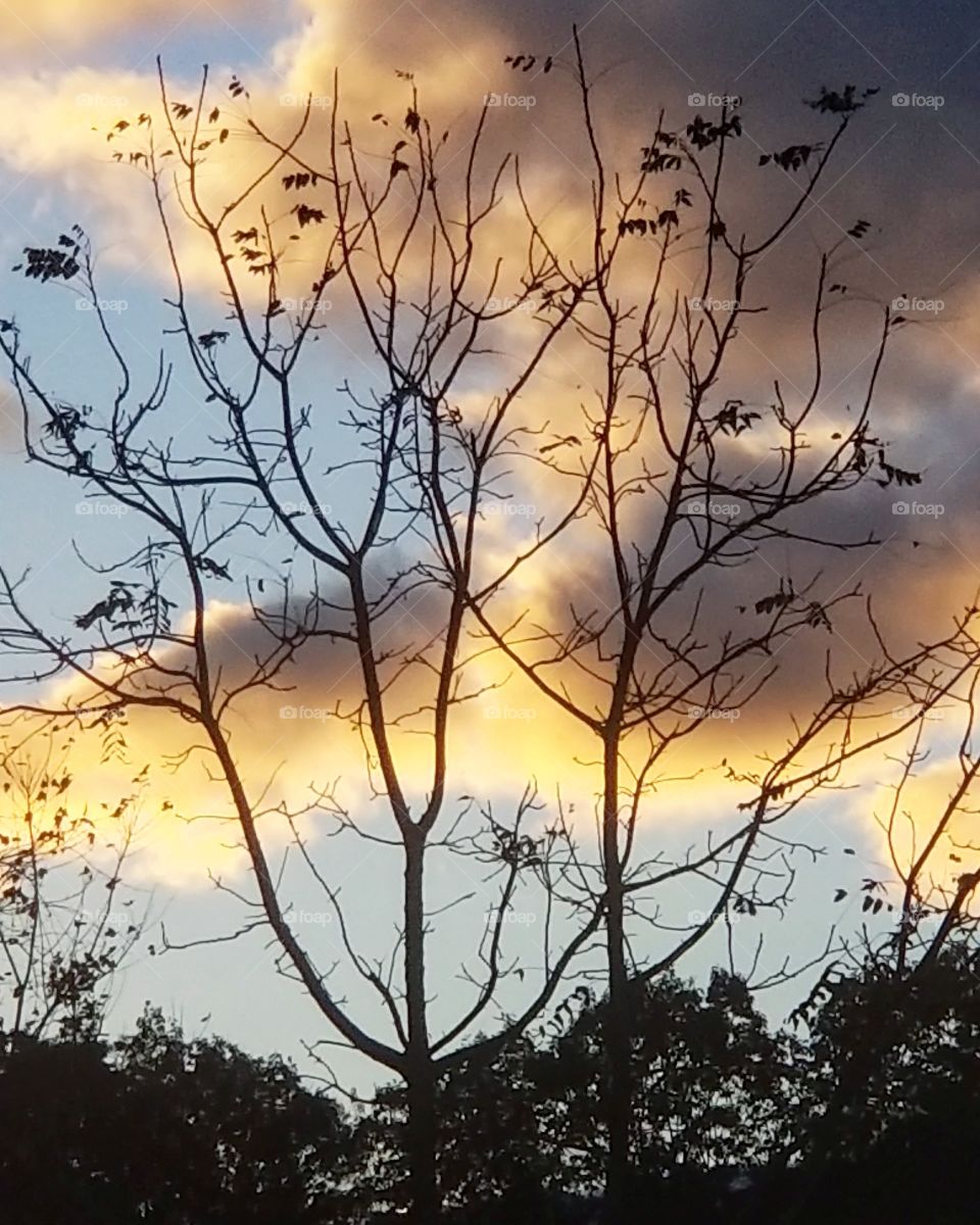 A couple pretty clouds near sunset tonight!