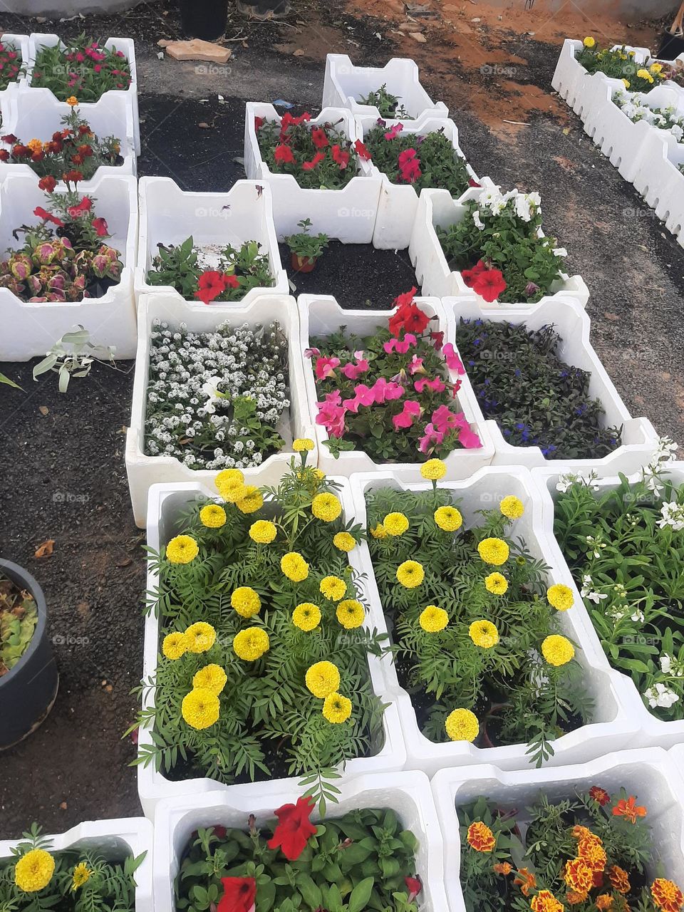 Please make me happy, I am poor, I need your help with support