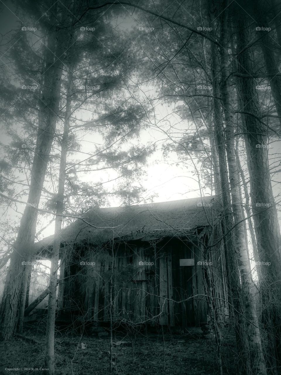 Ghost Home