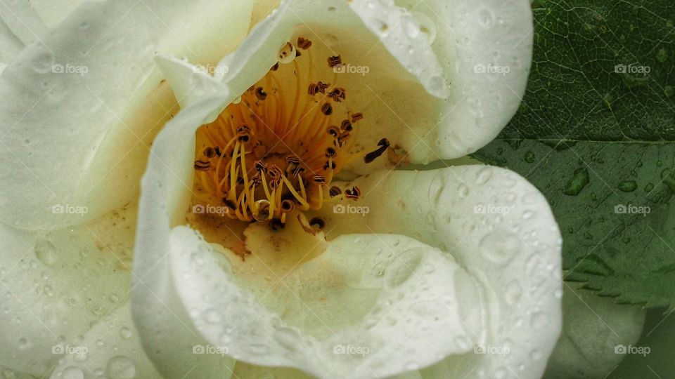 Experimentando
Experiencing