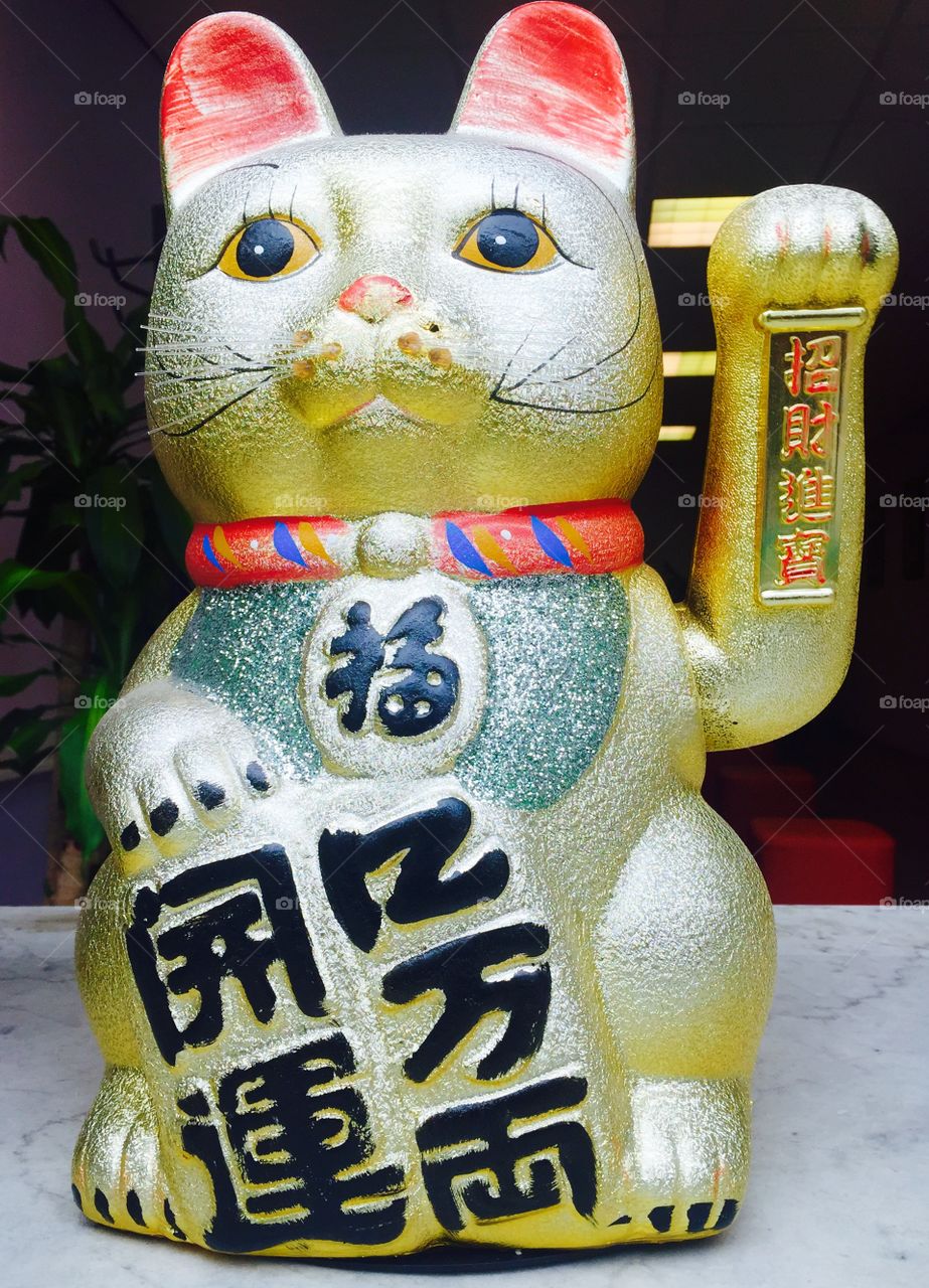 Lucky CAT 