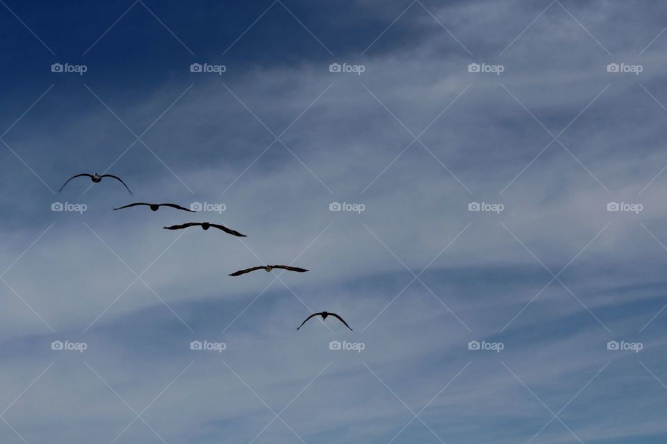 family will be always with you